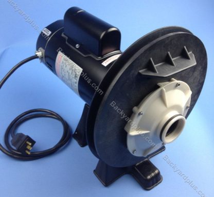 Pump, Sta-rite 2hp, Hot Spring (without volute cover and clamp)