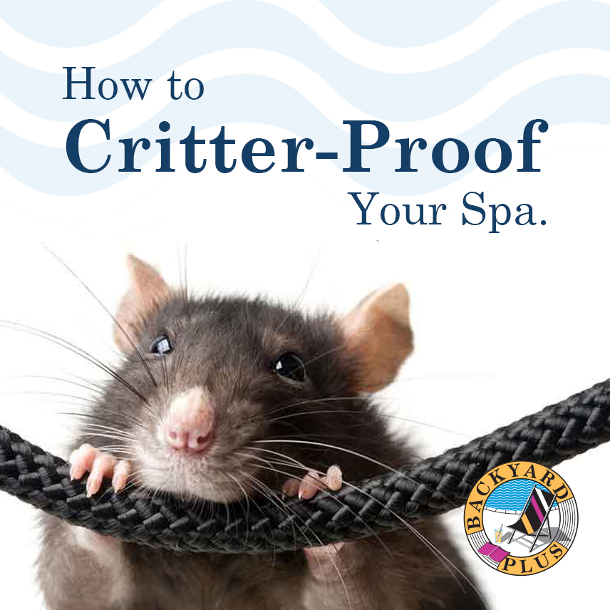 get rid of mice and rats-