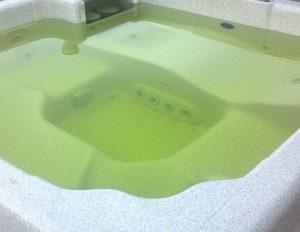 remove algae from your spa 